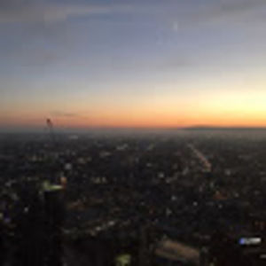 Meet your Posher, Millie